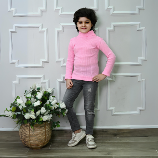 Winter Woolen High Neck Skiwi (PACK OF 3)