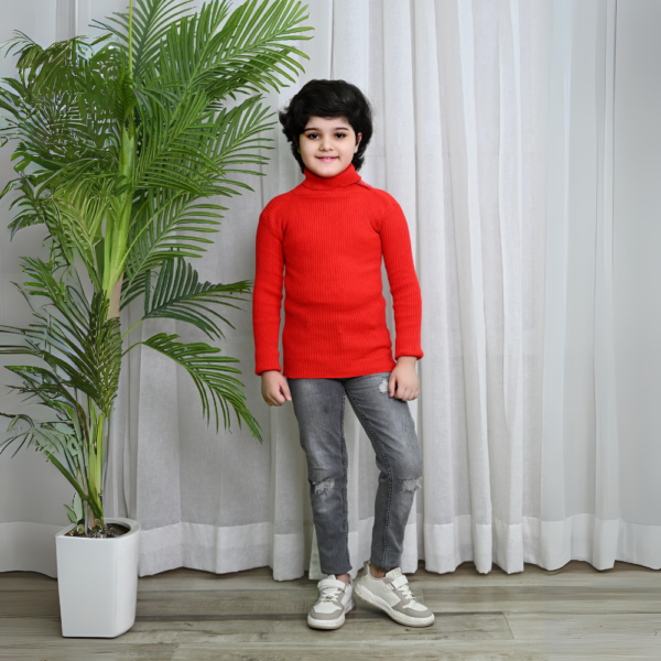 Winter Woolen High Neck Skiwi (PACK OF 3) - Image 7