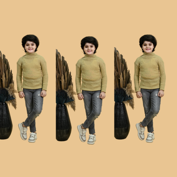 Winter Woolen High Neck Skiwi (PACK OF 3) - Image 3