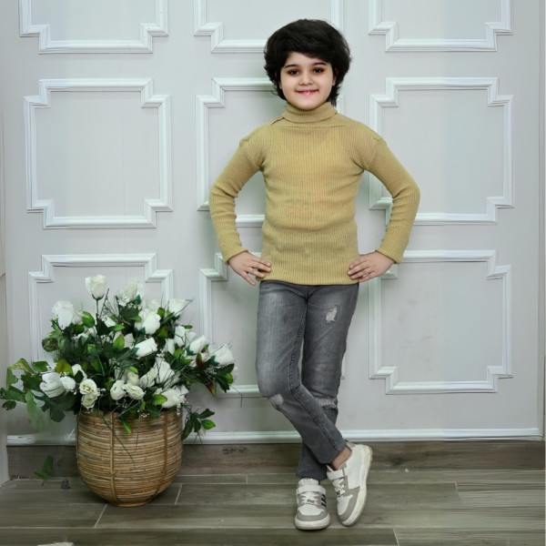 Winter Woolen High Neck Skiwi (PACK OF 3) - Image 2